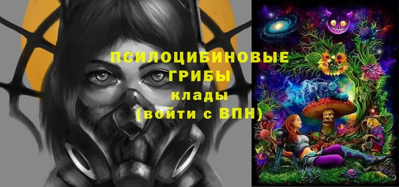 ОМГ ОМГ   Ахтубинск  Галлюциногенные грибы Cubensis 